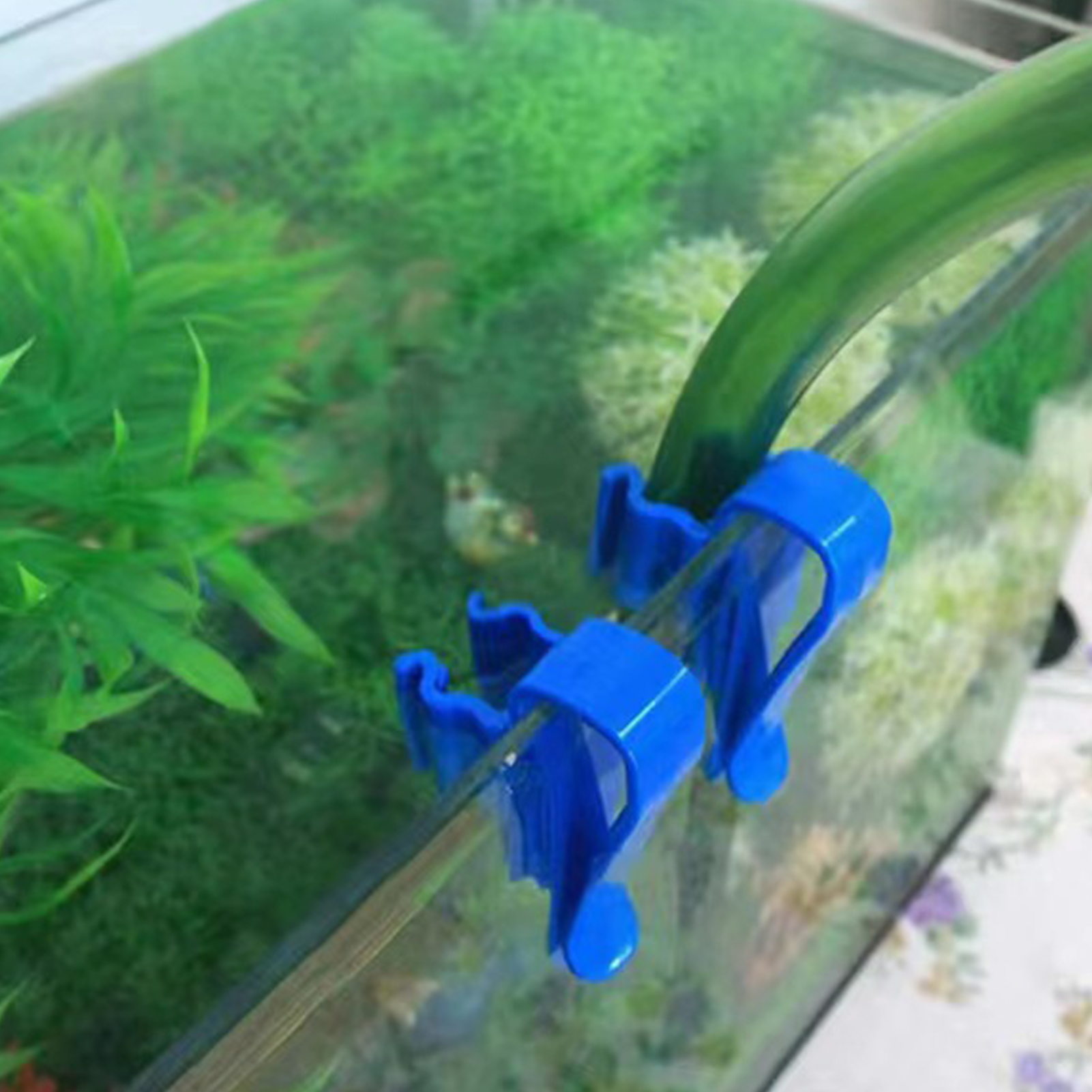 Aquarium Tube Holder Clip Fish – Plastic Pipe Clip recenzja i cena